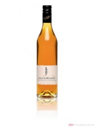 Giffard Abricot du Roussillon Likör 25% 0,7l Flasche