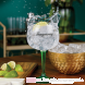 Tanqueray Gin in Geschenkverpackung mit Glas mood 3