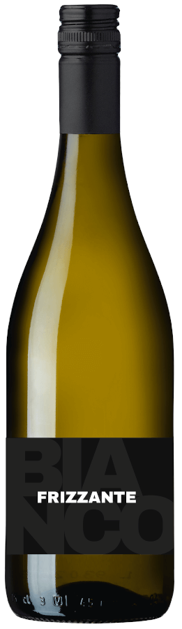 Prosecco Frizzante Brut Ruggeri Vino Bianco 11% 6-0,75l Flaschen